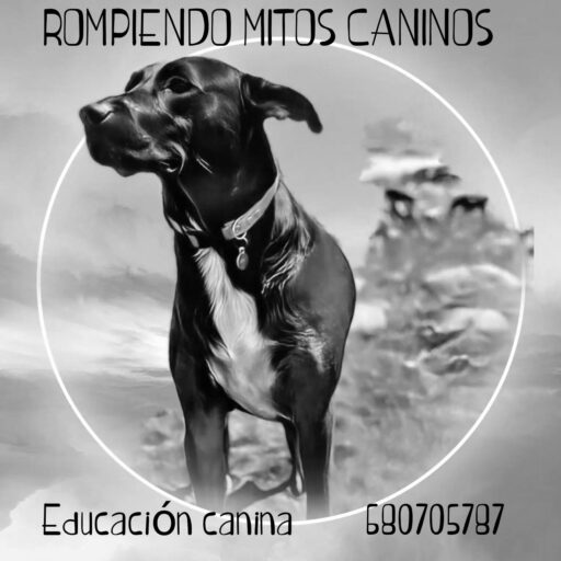 Rompiendo Mitos Caninos